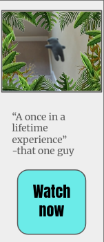 Screenshot From 2025-08-23 22-24-21